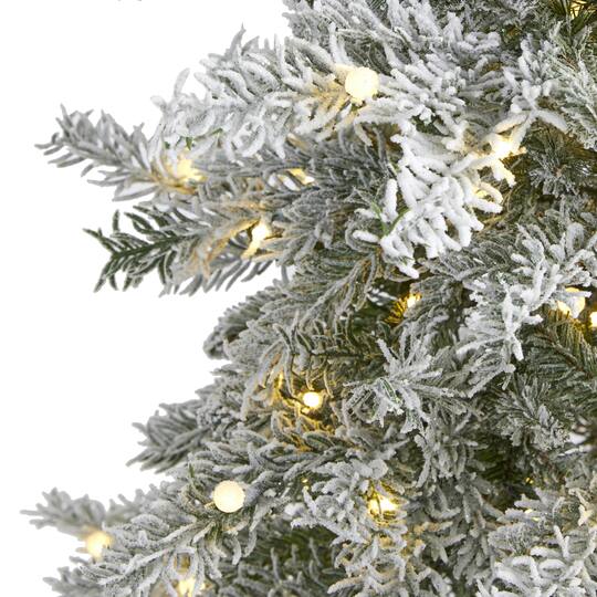 5ft. Pre-Lit Nova Scotia Spruce Artificial Christmas Tree, Warm White LED Lights